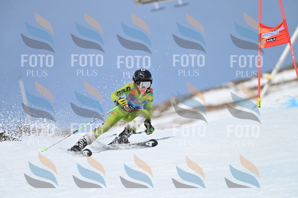 BGV_2981 | holidayphoto