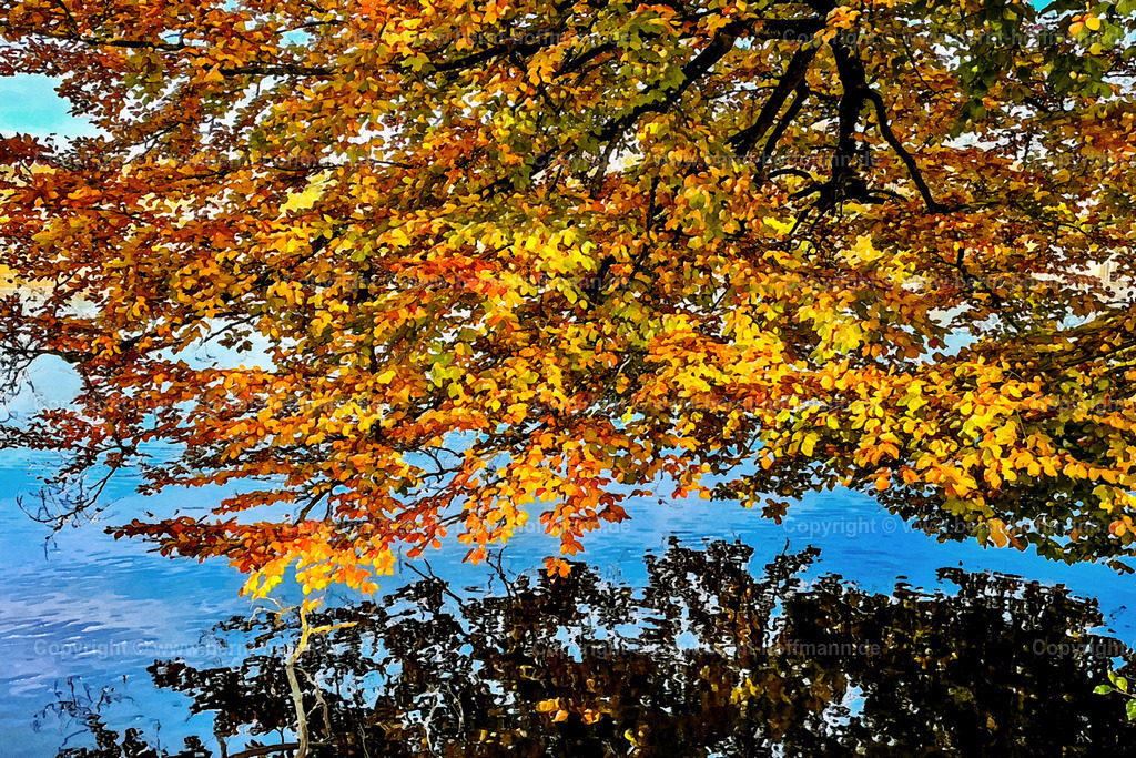PDM2_0965_Herbstfarben_120x80 | DIGITALKUNST. Herbstimpression am See. __ Buchenzweige mit Laubverfärbung über dem stillen Wasser an einem See. __ Seitenverhältnis = 3 zu 2 - Realisiert mit Pictrs.com