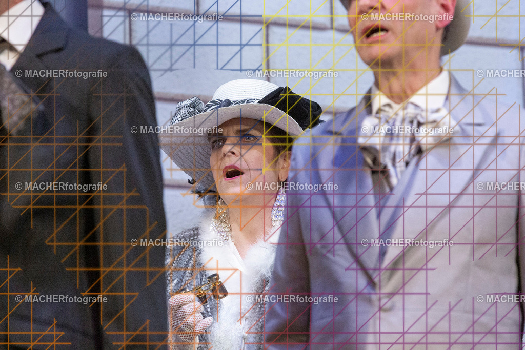 260_MFL-2025 | Portraitbilder von Regisseur; Darsteller; Techniker; Maske; Kostüme; Chor; Musiker; Bilderserie der Generalprobe und der Premierenvorstellung, Szenenbilder; Ausdrucksstudien; Bühnenüberblick; Bühnenkulissen; Pressefotos inkl. Redaktionsfoto Darstellergruppe.