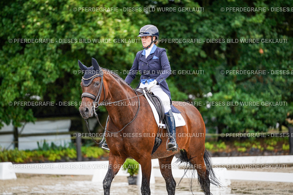 DSC00163 | Pferdegrafie