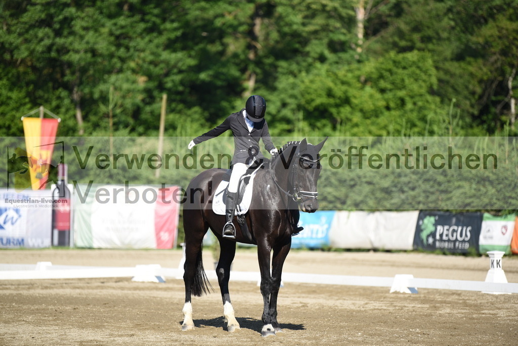 DSC_6917 | equestrian-live-com