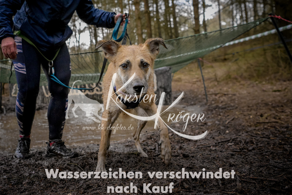 0947_ZZ98337 | kk-dogfotos