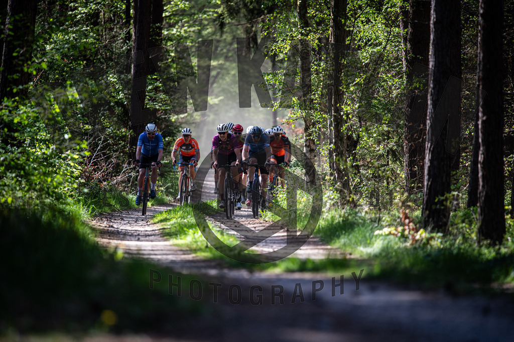 DKP-1951 | Drew Kaplan Photography