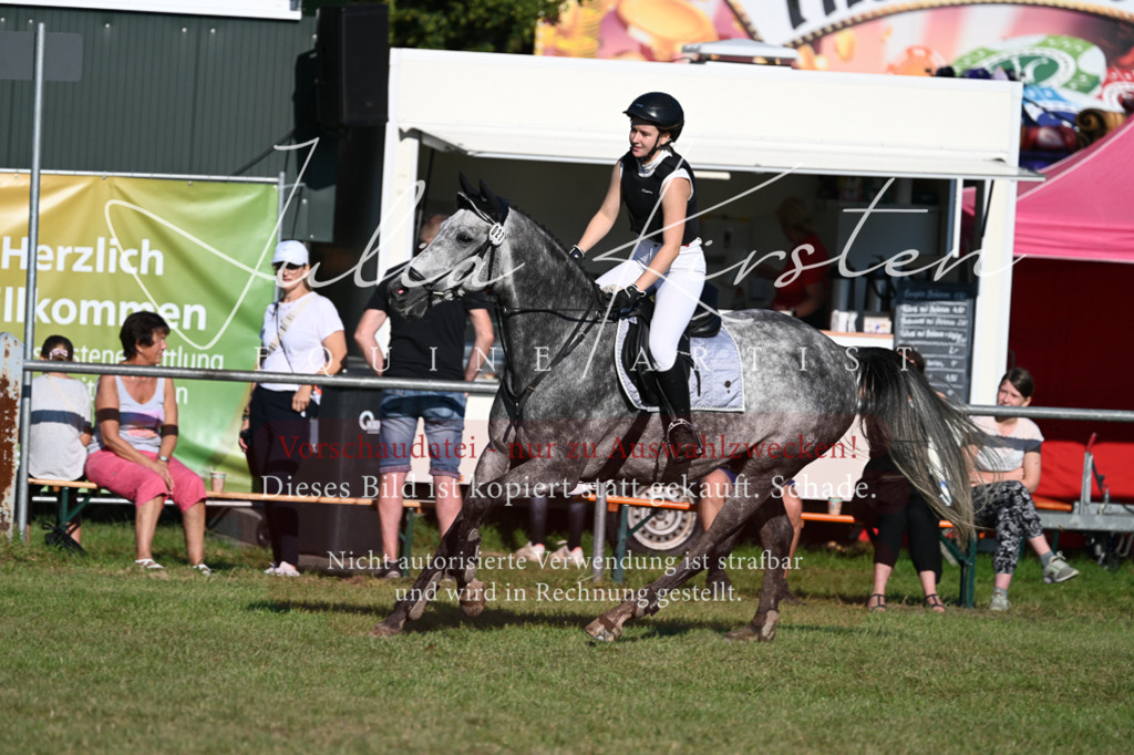 DSC_4878 | Pferde- und Turnierfotografie in Westsachsen. Pferdeportraits, Auftragszeichnungen und intuitive Kunst.