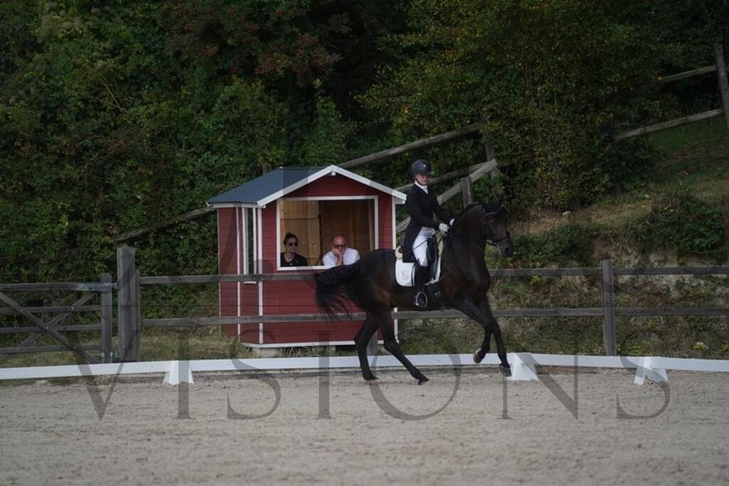 tbhsamstag (1524) | d.tail Visions - Shop - Realisiert mit Pictrs.com