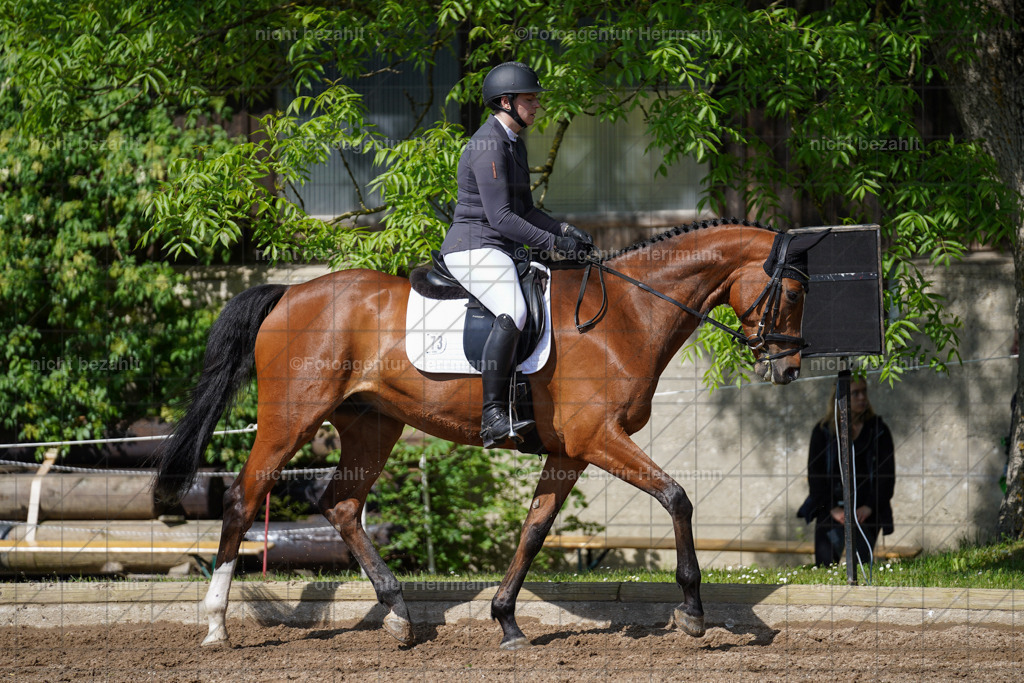 20240519-FAH04742 | Turnierbilder Niederseeon 2024, Vielseitigkeitsdressur, Reitsportbilder aus dem Landkreit Ebersberg, Gut Steinsee, RC Steinsee, Fotoagentur Herrmann