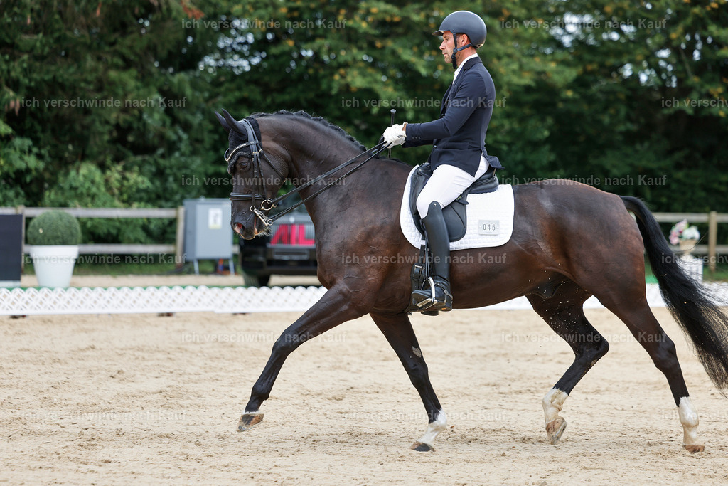 04_1-045-Dressur M__ -StoibPH-StoibPH-2650 | working equitationturnier fotograf videograf stoibphotography marixx film working equitation deutschland reitsport turnierfotografie eventfotografie equestrian events