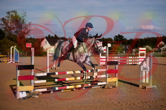 2026_10_03_Siefer-Hof_171341_Z81_10648203 | Professionelle Reitsport-, Turnier- und Eventfotografie von Robert Broda. Galerien mit ausgewählten und bearbeiteten Bildern direkt online ansehen und bestellen.