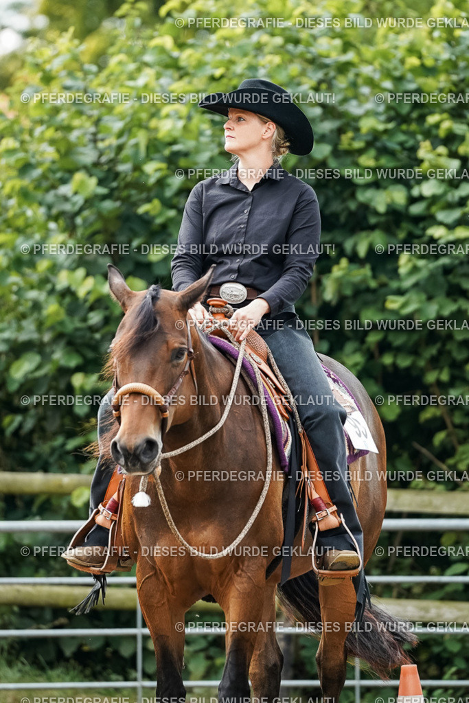 DSC03378 | Pferdegrafie