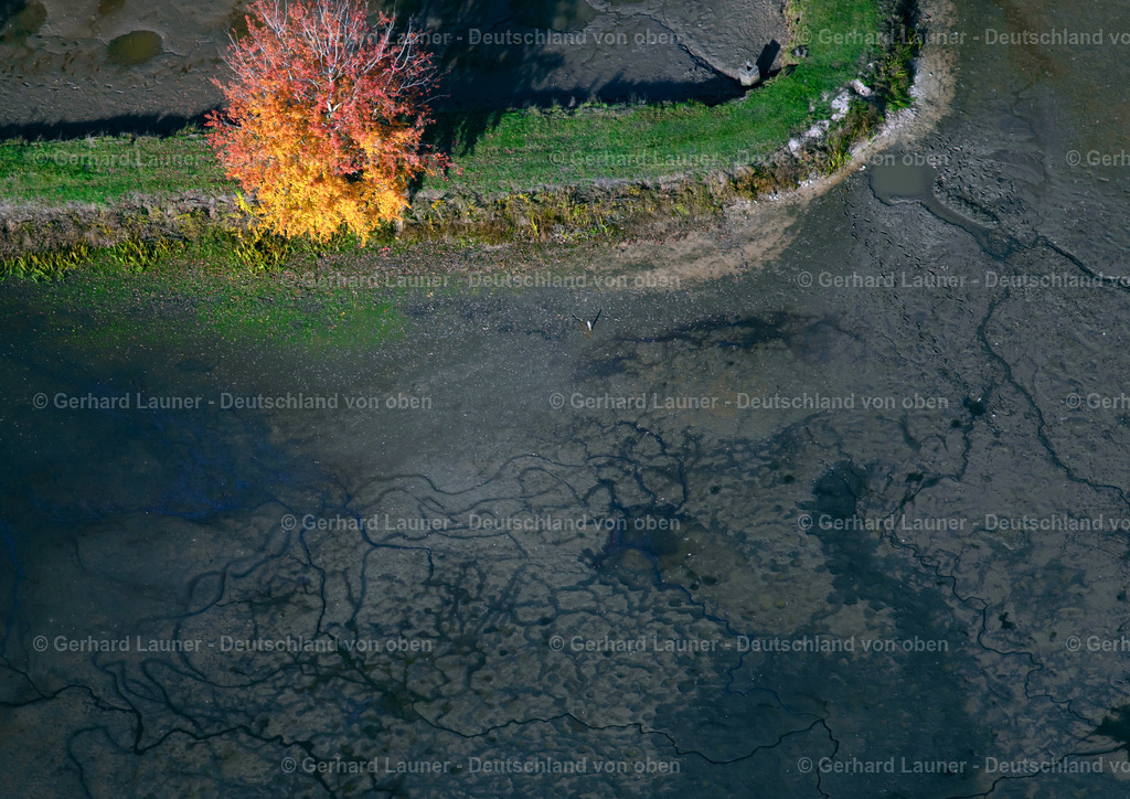 3808116 | Herbstliche Bäume an den Fischteichen bei Adelsdorf