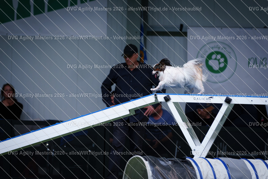 allesWIRTHgut_Tierfotografie-DVG_Agility_Masters_2026-12_19-7R502218 | Professionelle Tierfotografie in Mönchengladbach von Daniel Wirth (allesWIRTHgut). Liebevolle & natürliche Bilder von Hunden & Katzen für unvergessliche Erinnerungen.