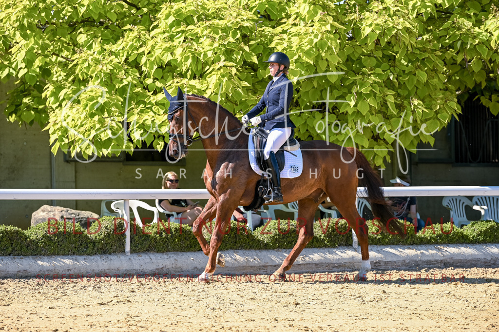 Schugtsche-Aluta25-50.Dressurpferdeprf.L-223 | Schugtsche Fotografie - Realisiert mit Pictrs.com