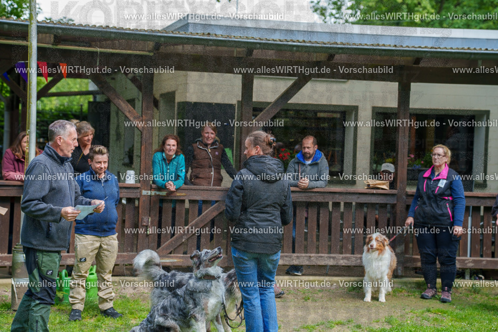 @allesWIRTHgut_Tierfotografie - www.allesWIRTHgut.de - 7R502330 | Professionelle Tierfotografie in Mönchengladbach von Daniel Wirth (allesWIRTHgut). Liebevolle & natürliche Bilder von Hunden & Katzen für unvergessliche Erinnerungen.