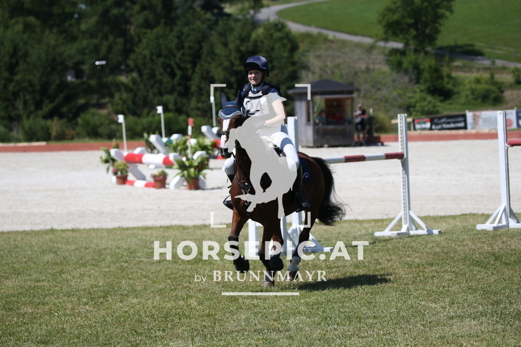 DL2Q0345 | Willkommen bei Brunnmayr - Design & Fotografie – Ihrem Spezialisten für Reitturniere und Pferdeveranstaltungen in Oberösterreich, Salzburg und Bayern! Seit über 17 Jahren sind wir leidenschaftlich dabei.