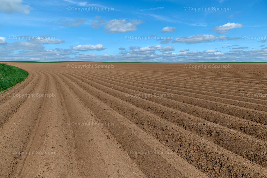 CAR_Agri_Spring_Field39 | sparepix - Realisiert mit Pictrs.com