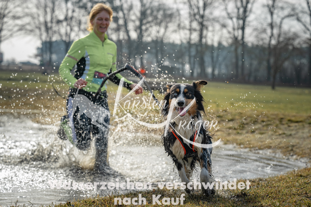 0950_ZZ94165 | kk-dogfotos