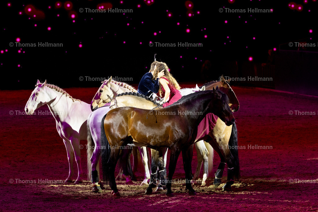 TH_Hop Top Show_27455 | EQUITANA 2025 am 09.03.25 in Essen