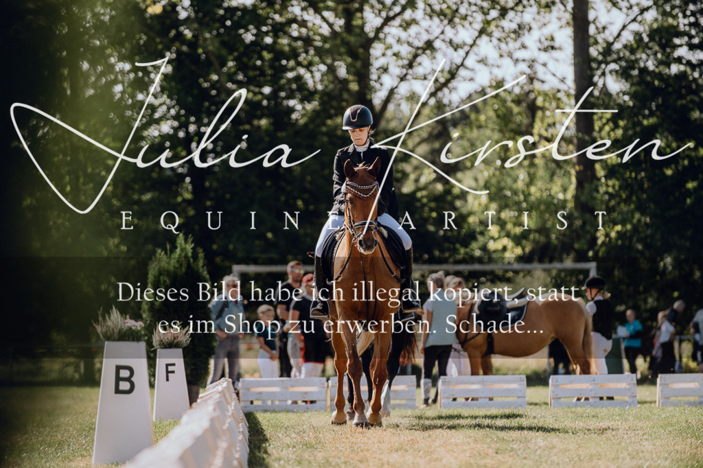 DSC_7170 | Pferde- und Turnierfotografie in Westsachsen. Pferdeportraits, Auftragszeichnungen und intuitive Kunst.
