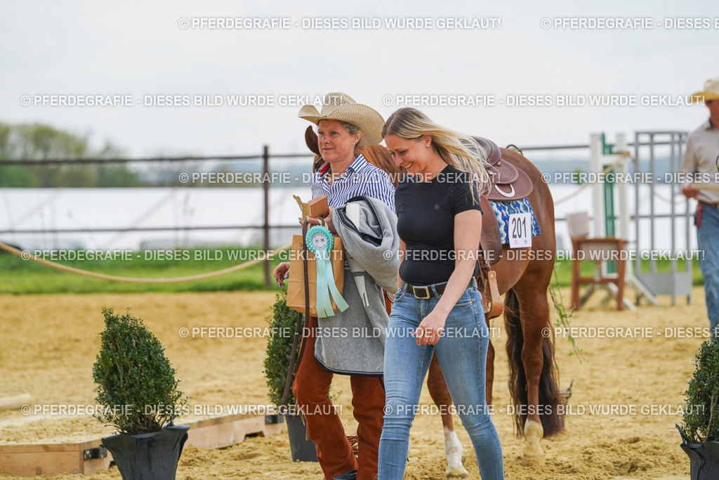 DSC08007 | Pferdegrafie