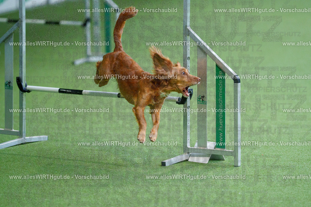 @allesWIRTHgut_Tierfotografie - www.allesWIRTHgut.de - 2604251117-7R500121 | Professionelle Tierfotografie in Mönchengladbach von Daniel Wirth (allesWIRTHgut). Liebevolle & natürliche Bilder von Hunden & Katzen für unvergessliche Erinnerungen.