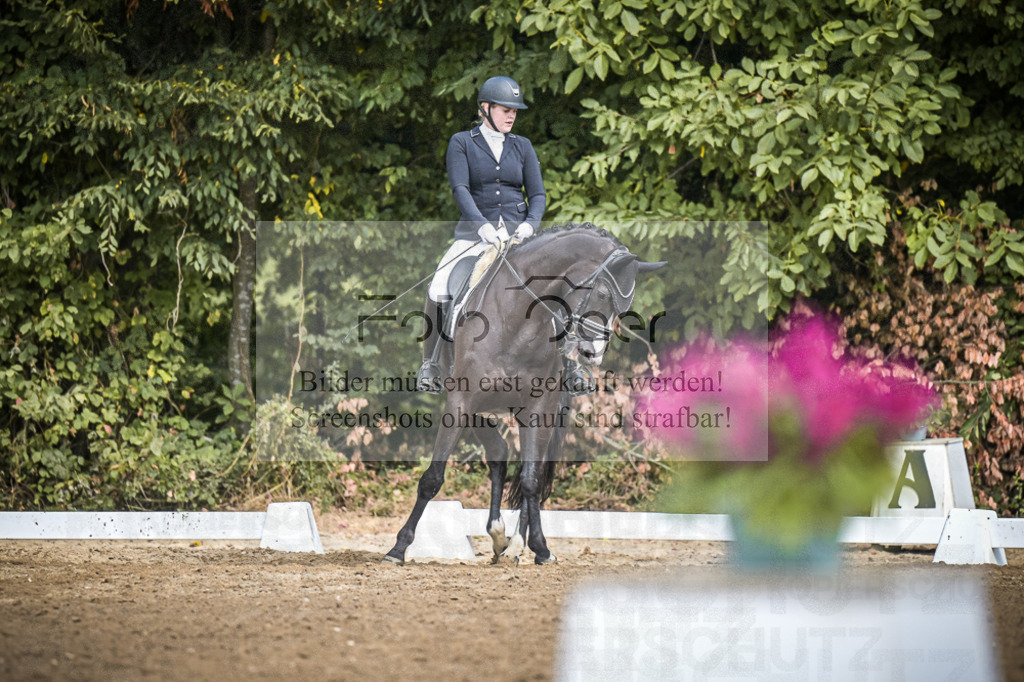 DOS_0168 | Entdecke hochwertige Reitturnierfotos von Foto Oger. Professionell, emotional und authentisch – jetzt Lieblingsmomente im Shop bestellen.Deutschlandweite Turnierfotografie. - Realisiert mit Pictrs.com