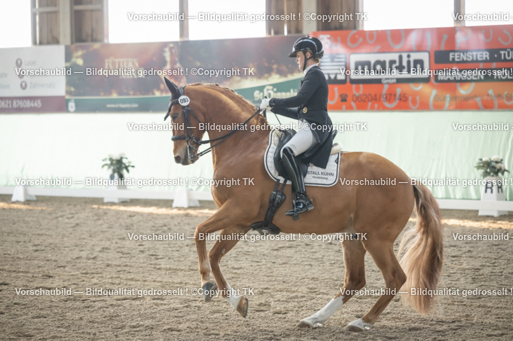 _D5A7945 | Emotionale Pferde- & People-Fotografie rund um Heidelberg, Leimen & Umgebung. Natürliche Fotos von Pferd, Mensch & Familie. Jetzt Termin sichern!