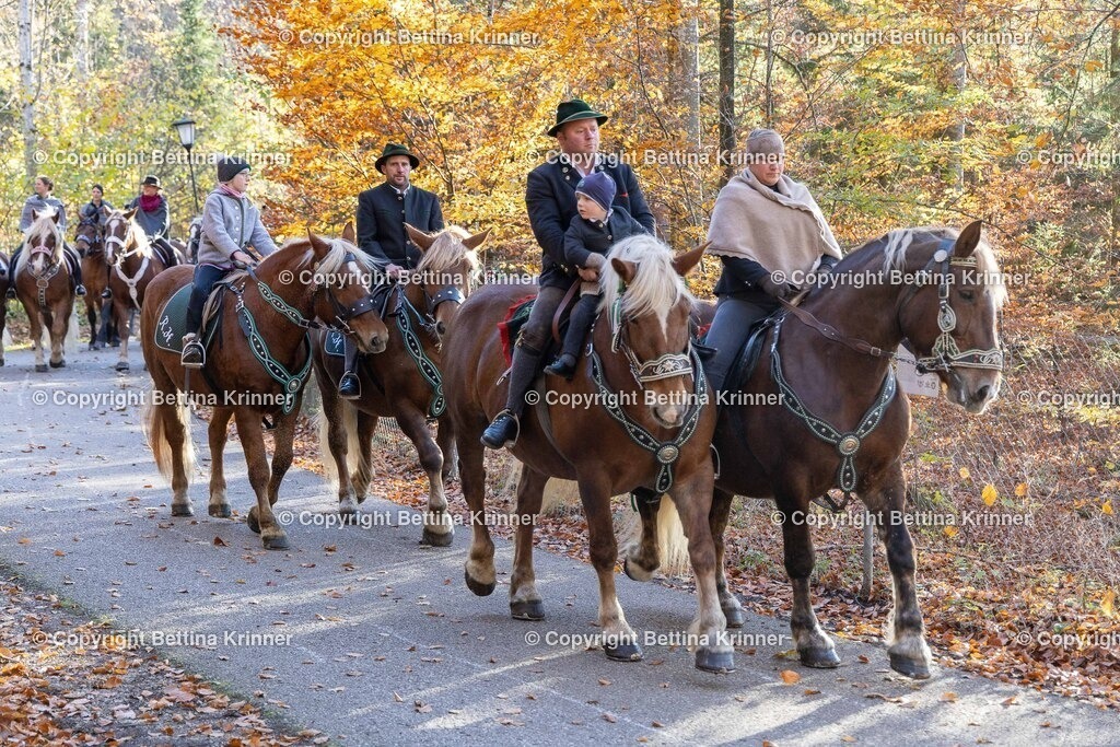 LL24-303 | foto-bettina-krinner - Realisiert mit Pictrs.com