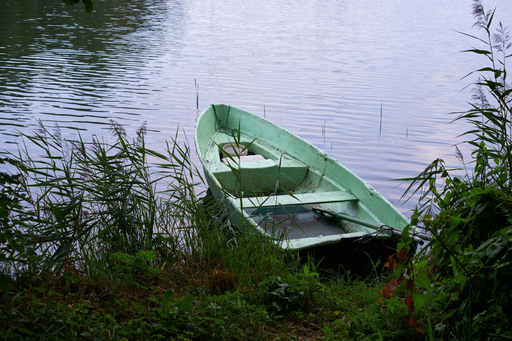 Türkises Holzboot im Schilf liegend | Lettland - August 21, 2022: Türkises Holzboot im Schilf liegend. - Realisiert mit Pictrs.com