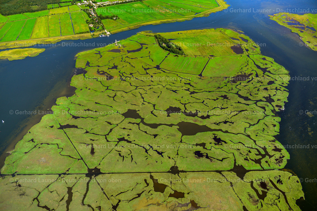 3638182 | Nationalpark Vorpommersche Boddenlandschaft, Insel Große Kirr, ZINGST 25.08.2016 Salzgrasland und Vogelschutz- Gebiet in Zingst an der Ostseeküste im Bundesland Mecklenburg-Vorpommern, Deutschland.