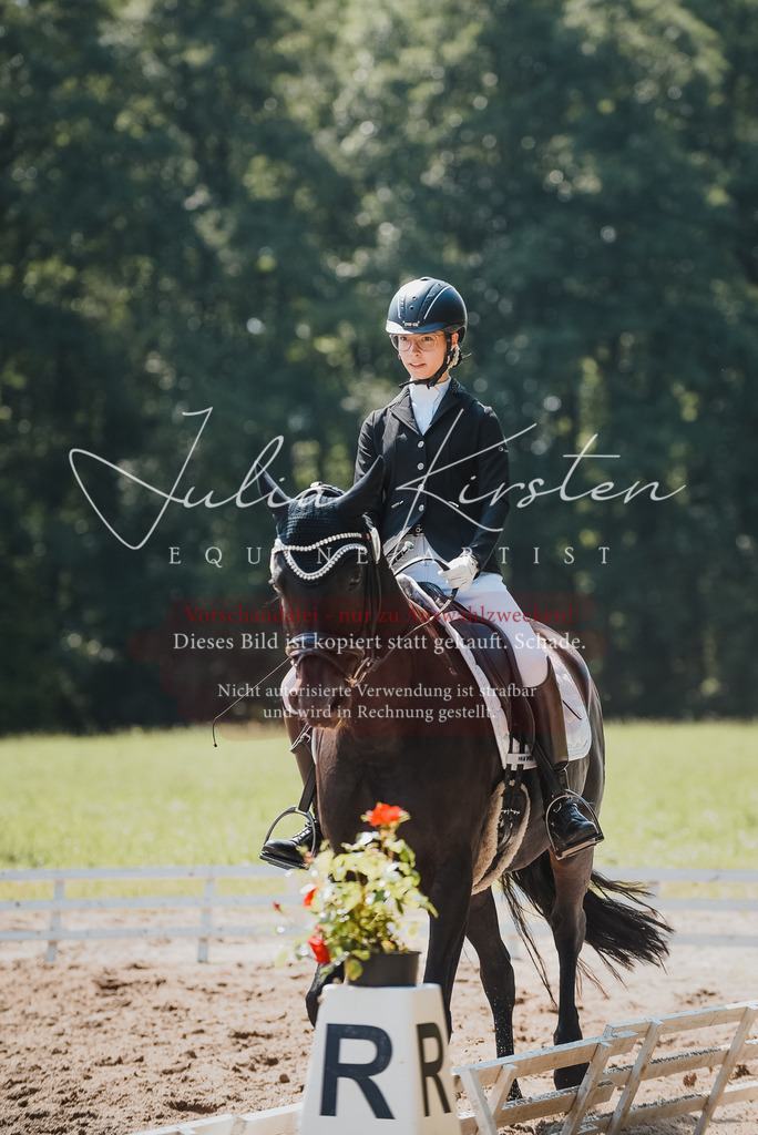 DSC_0634 | Pferde- und Turnierfotografie in Westsachsen. Pferdeportraits, Auftragszeichnungen und intuitive Kunst.