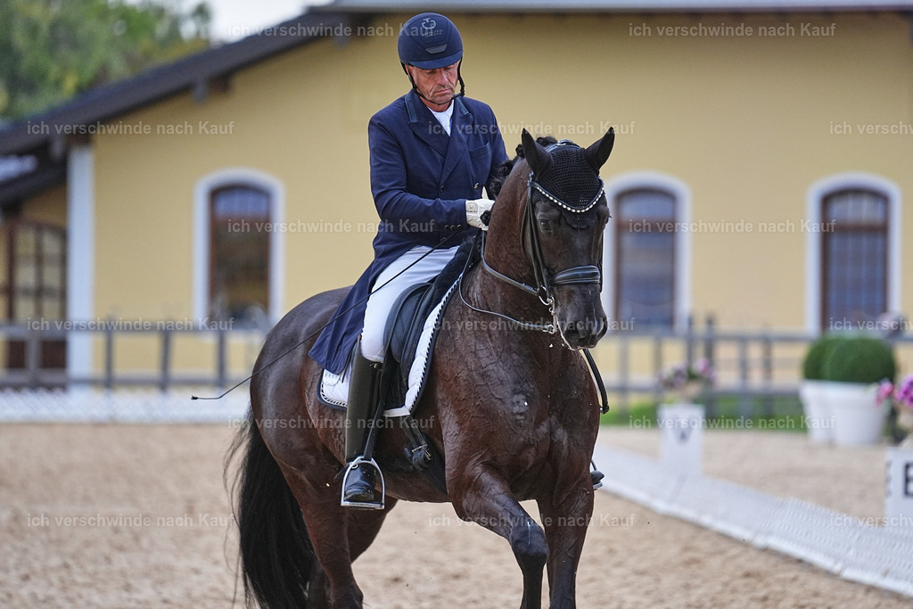 12-085-DRESSUR  S___  -Marixx-5251 | working equitationturnier fotograf videograf stoibphotography marixx film working equitation deutschland reitsport turnierfotografie eventfotografie equestrian events