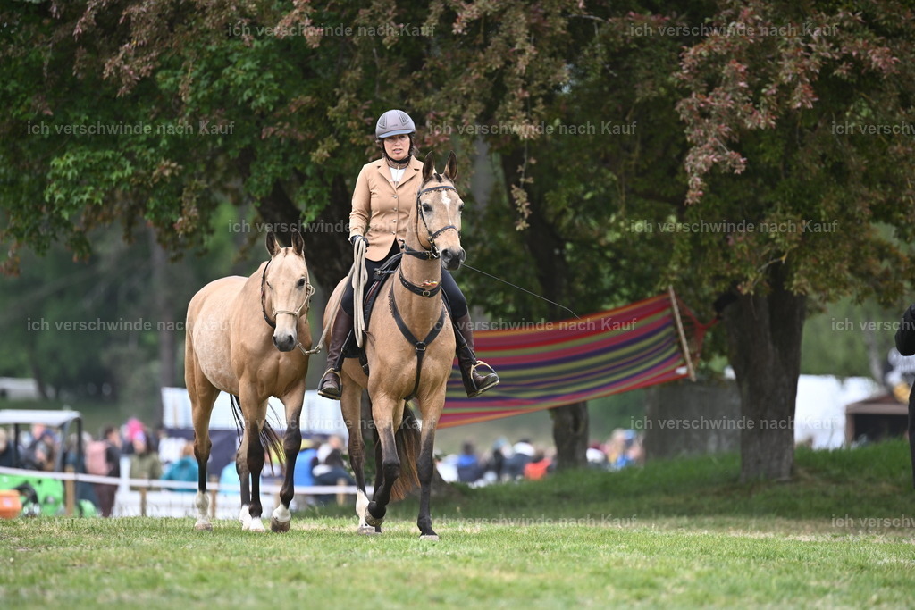 PI26_DR_Show_Sara_Landvogt_226_0664.JPG | working equitationturnier fotograf videograf stoibphotography marixx film working equitation deutschland reitsport turnierfotografie eventfotografie equestrian events