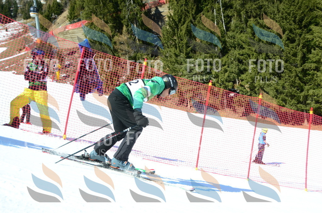 C6415 | holidayphoto