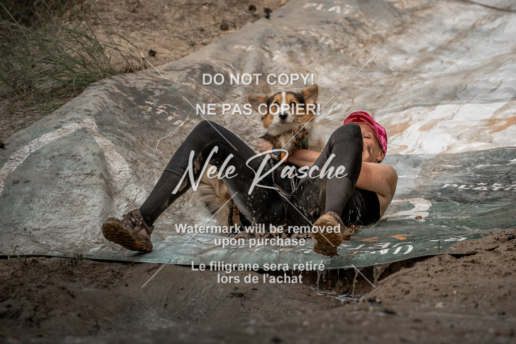 nelerasche_sa1530-1600_314 | nelerasche
