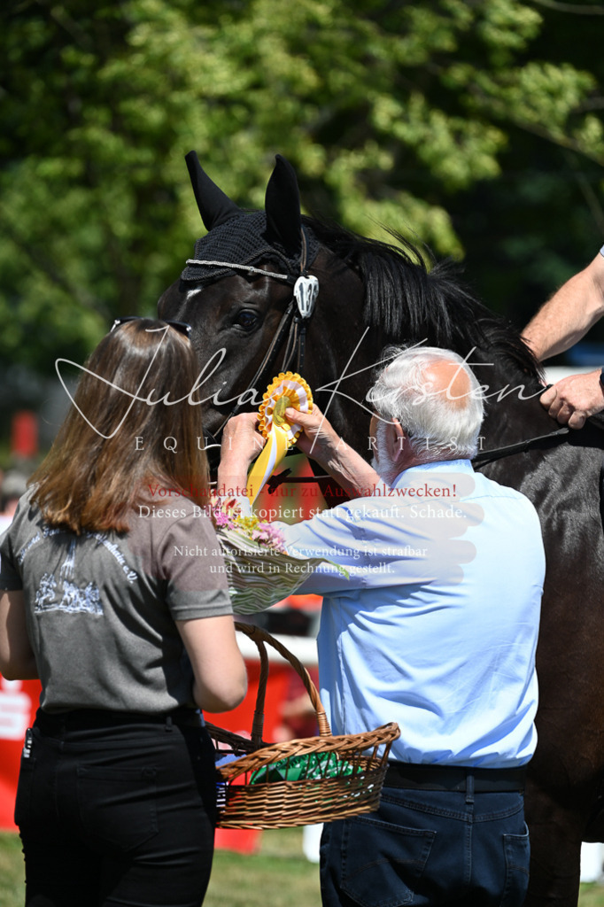 DSC_0871 | Pferde- und Turnierfotografie in Westsachsen. Pferdeportraits, Auftragszeichnungen und intuitive Kunst.