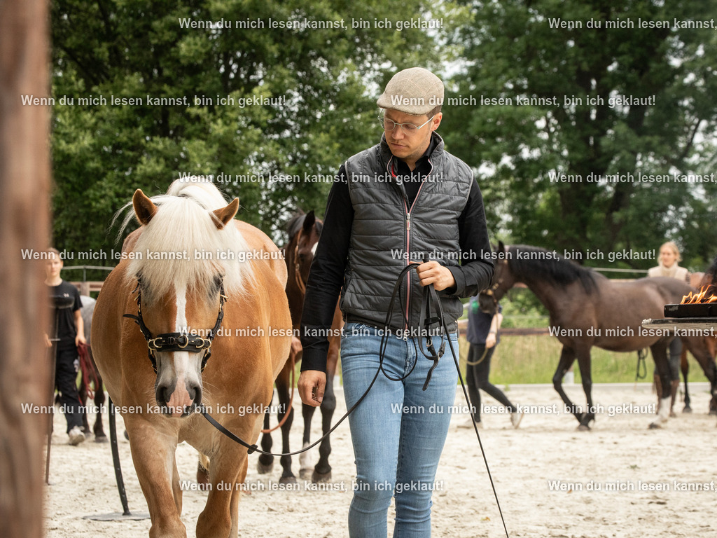 598A6310 | photographylinaismer - Realisiert mit Pictrs.com