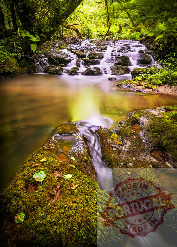 Small waterfall flowing on mossy rocks in a forest | Long exposure photography of a small waterfall flowing on mossy rocks in a forest - Realized with Pictrs.com