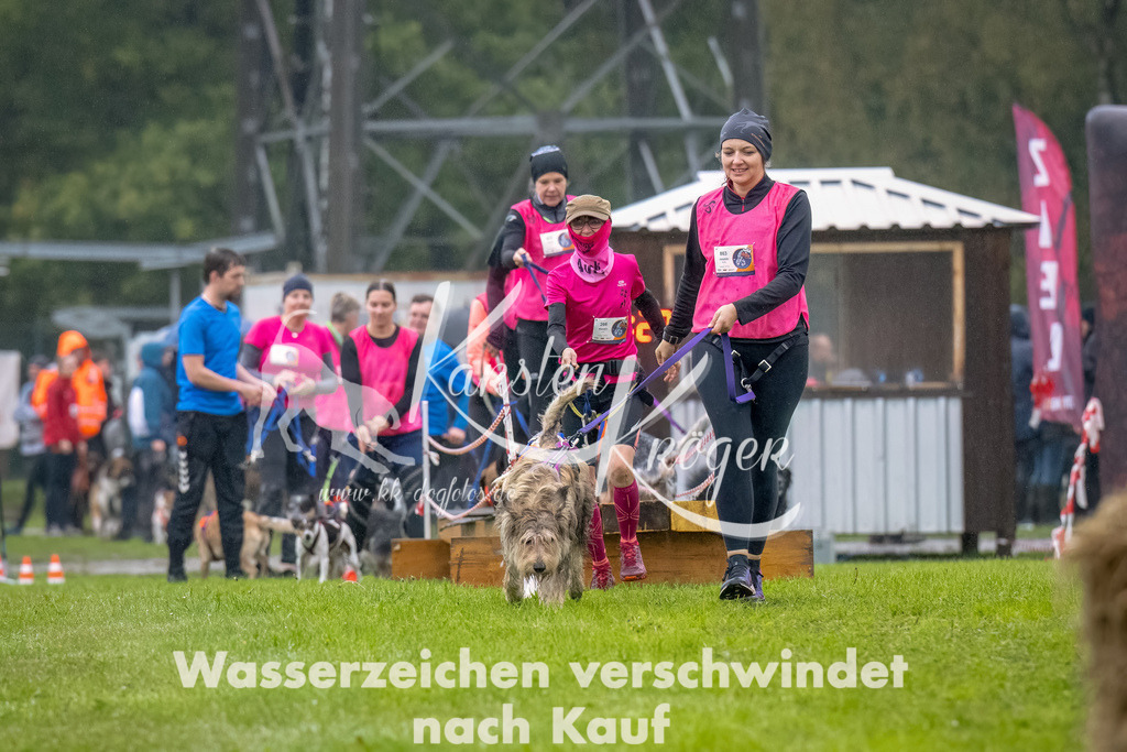 1004- | kk-dogfotos