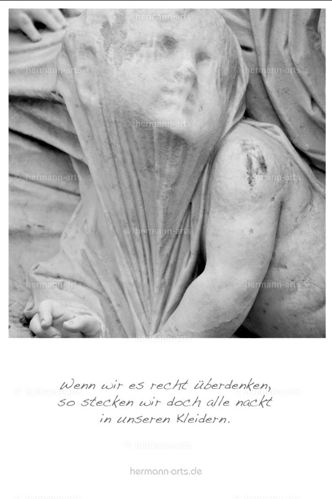 PK_Zitate_10x15_BW-063 | Photo Foto Kunst Art schwarzweiss Bilder Rheine Münster Berlin Blumen 
