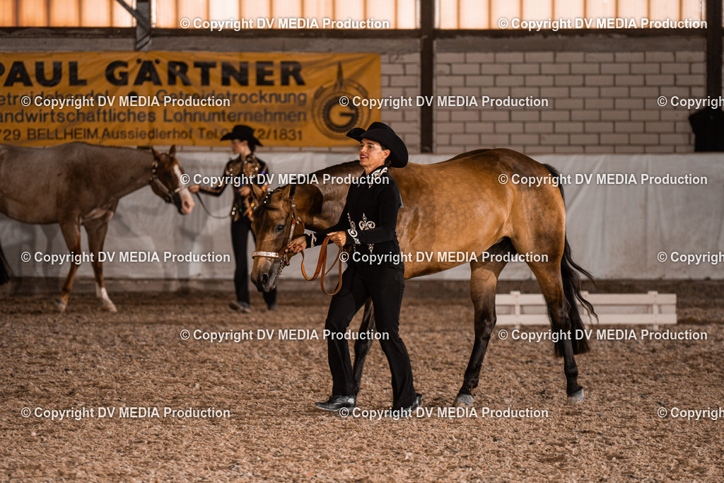 ZH200227 | dv-media-shop - Realisiert mit Pictrs.com