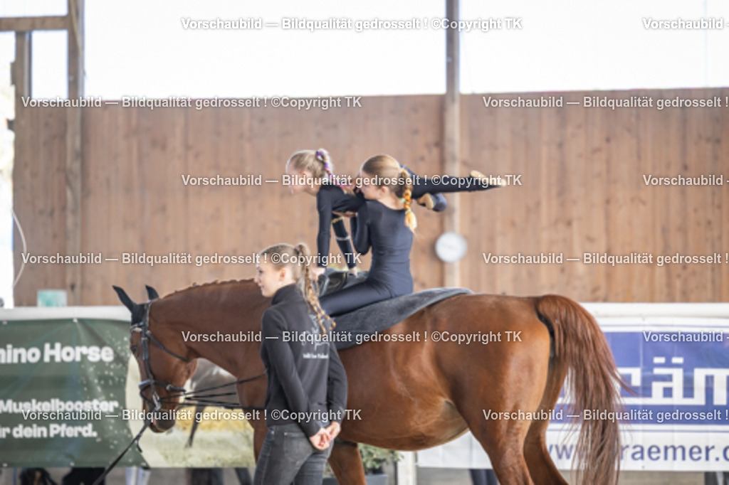 _D5A7082 | Emotionale Pferde- & People-Fotografie rund um Heidelberg, Leimen & Umgebung. Natürliche Fotos von Pferd, Mensch & Familie. Jetzt Termin sichern!