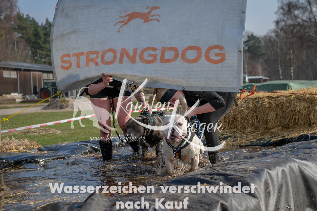 _ZZ90820 | kk-dogfotos