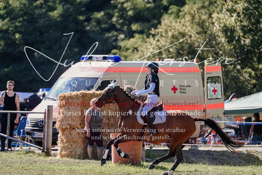 DSC_3481 | Pferde- und Turnierfotografie in Westsachsen. Pferdeportraits, Auftragszeichnungen und intuitive Kunst.