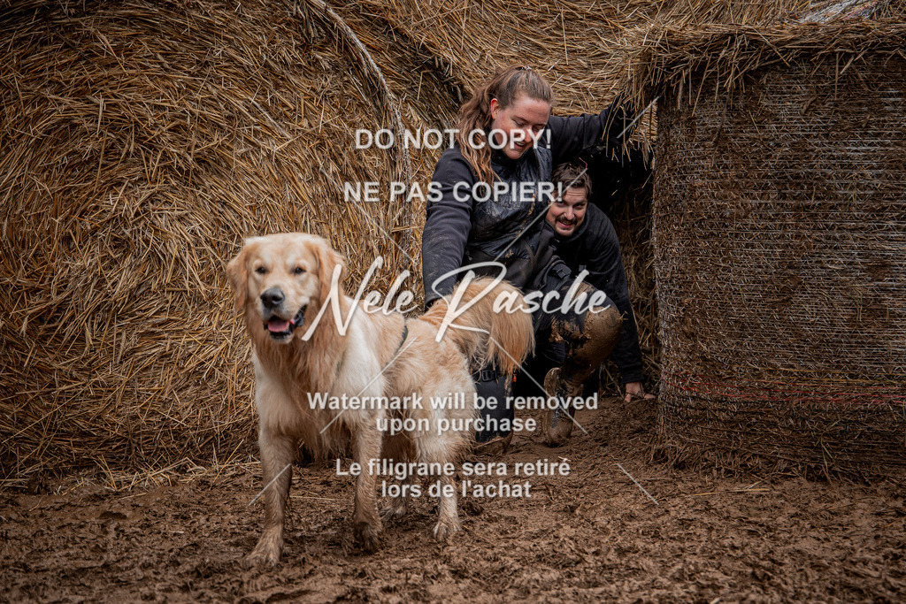 nelerasche_Hunsrück_So11-12_452 | nelerasche