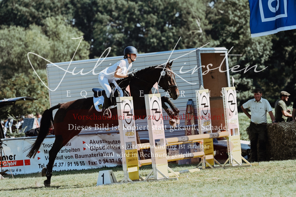 DSC_6582 | Pferde- und Turnierfotografie in Westsachsen. Pferdeportraits, Auftragszeichnungen und intuitive Kunst.