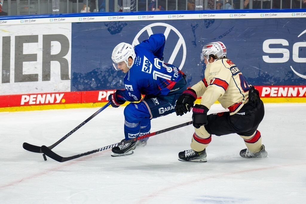 02.10.2024, DEL, Deutsche Eishockey Liga Saison 2024/25, 6. Spieltag: Adler Mannheim gegen Nürnberg Ice Tigers. Bild: Stefan Loibl (13, Mannheim) und Owen Headrick (47, Nürnberg) im Kampf um den Puck | 02.10.2024, DEL, Deutsche Eishockey Liga Saison 2024/25, 6. Spieltag: Adler Mannheim gegen Nürnberg Ice Tigers. Bild: Stefan Loibl (13, Mannheim) und Owen Headrick (47, Nürnberg) im Kampf um den Puck - Realisiert mit Pictrs.com