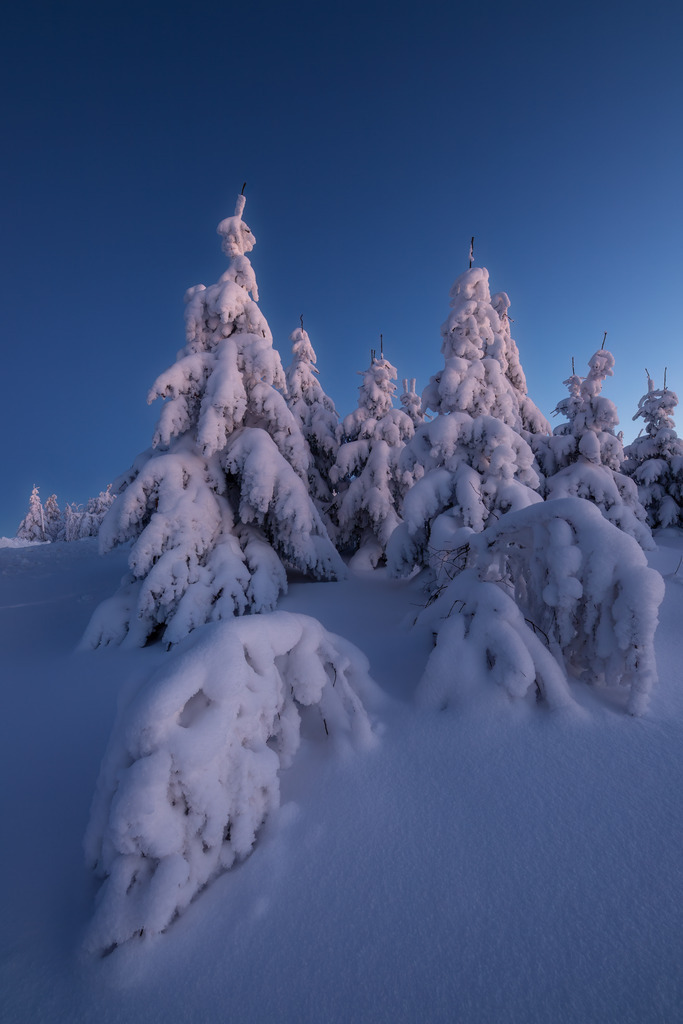 Deutschland Fichtelberg 03 | christophschaarschmidt - Realisiert mit Pictrs.com