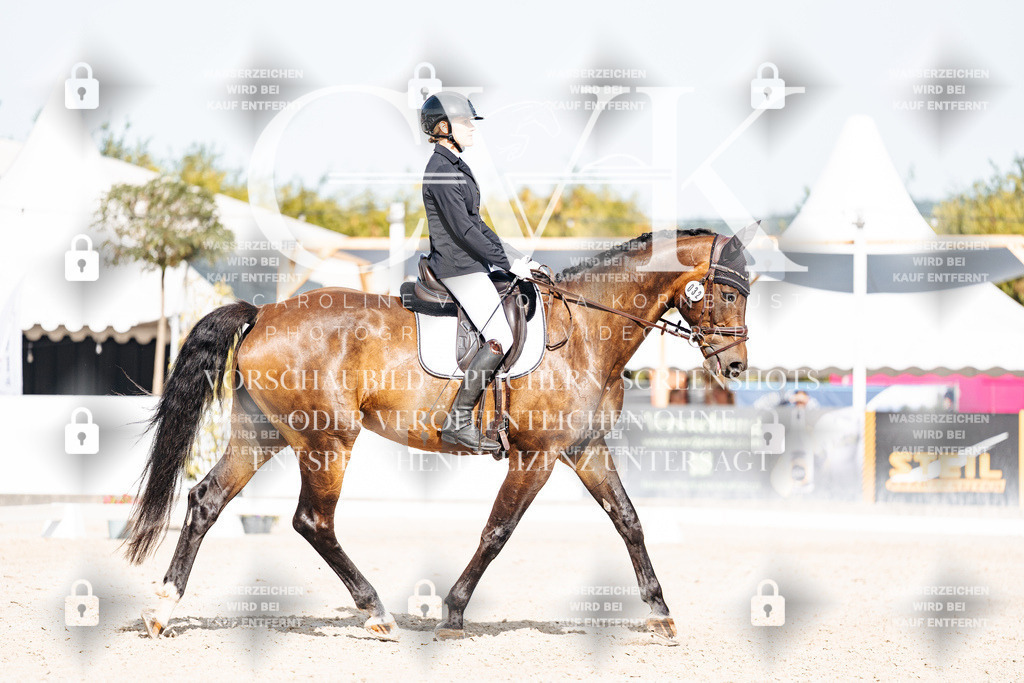 CK905480 | Turnierfotografie Pferdefotografie Trier Rheinland-Pfalz Pferdesport Reitsport Tierfotografie Sportfotografie Pferdevideo Pferdevideografie Equestrianvideography equestrianphotography  - Realisiert mit Pictrs.com