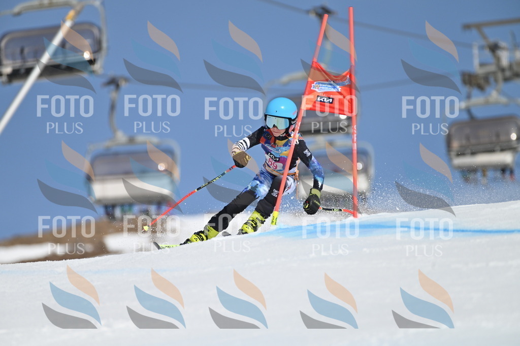 BGV_8877 | holidayphoto