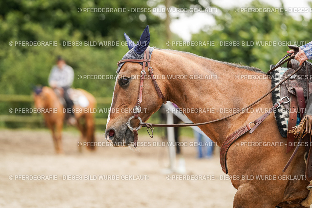 DSC09179 | Pferdegrafie